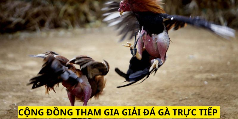 Cộng đồng tại đơn vị này rất lớn mạnh, văn minh